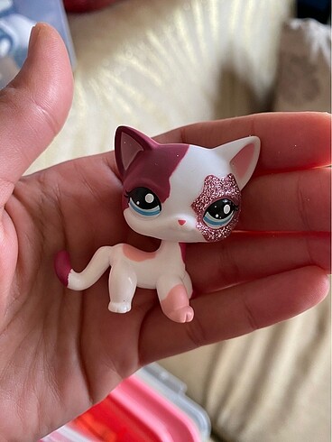 miniş