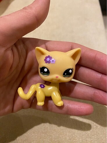 miniş