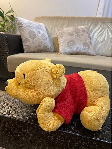 Walt Disney World winnie the pooh