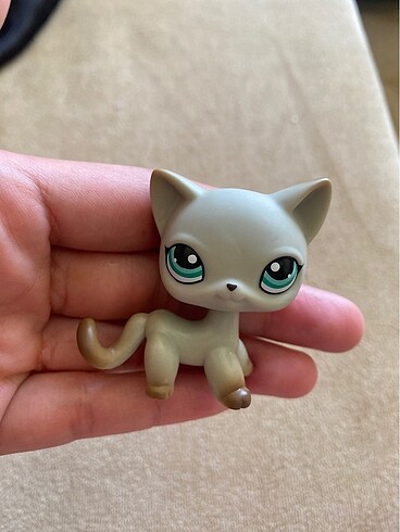 miniş