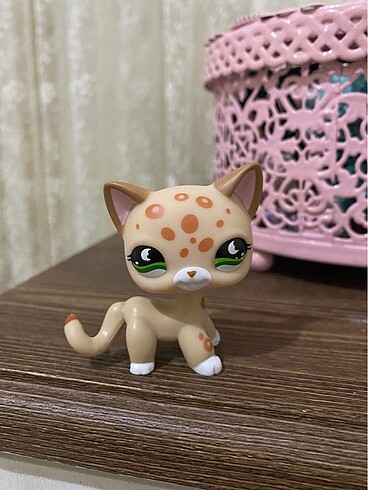 miniş