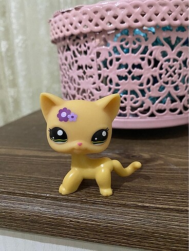 miniş