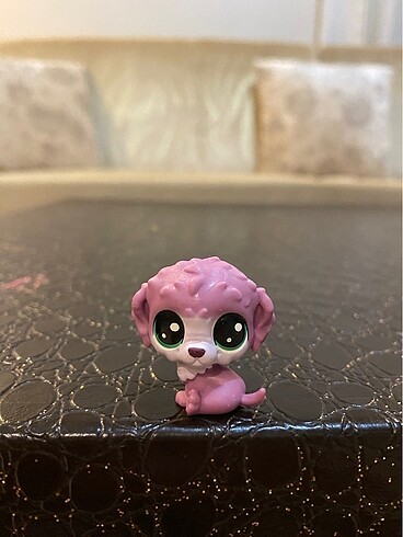 miniş