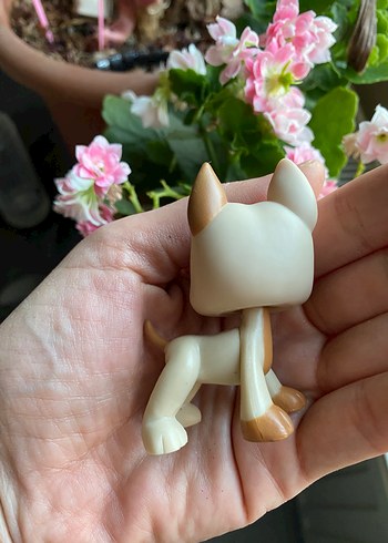 miniş