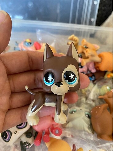 miniş