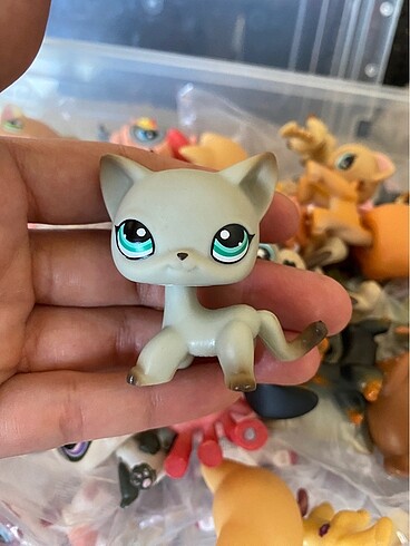miniş