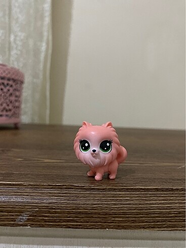 miniş