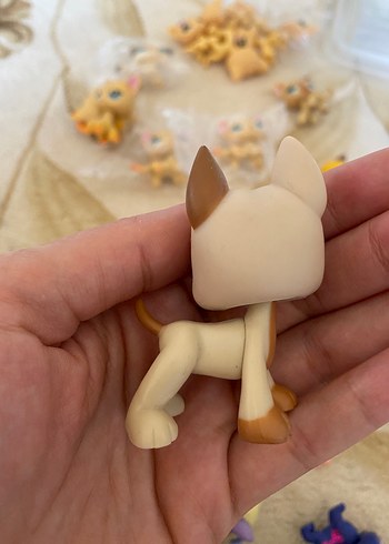 miniş