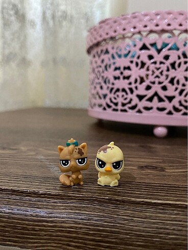 miniş