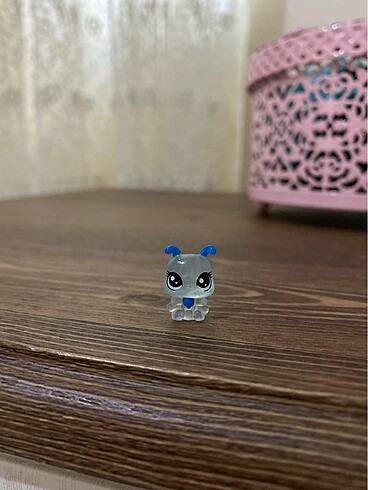 miniş