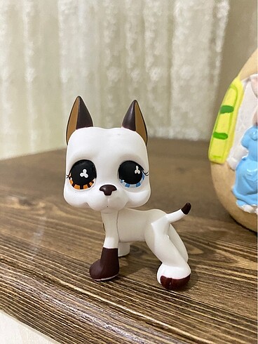 miniş
