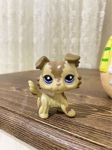 miniş
