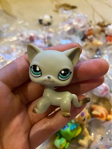 miniş