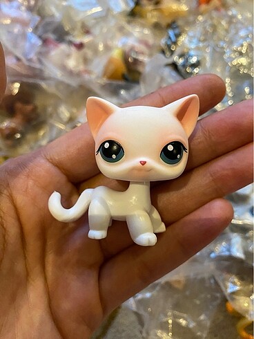 miniş