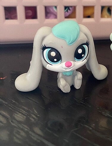 miniş