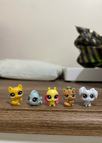 miniş