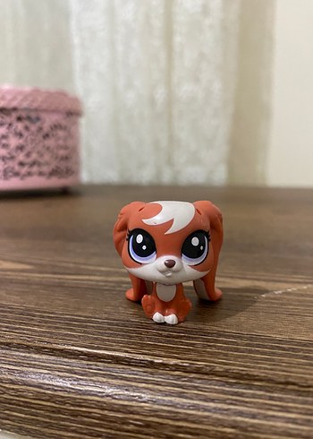 miniş