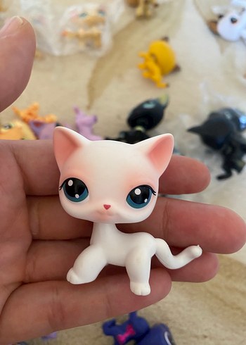 miniş