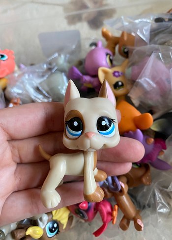 miniş