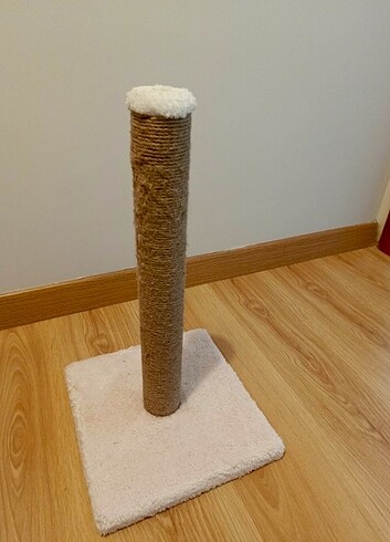 Kedi tırmalama tahtası