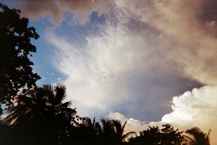 Wizen M-616 35mm Analog Kamera - Görsel 6