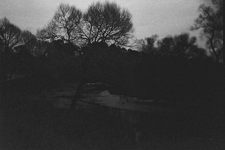 Wizen M-616 35mm Analog Kamera - Görsel 7