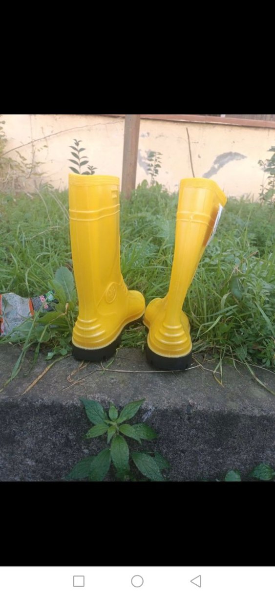 Erkek Sarı Diz Boyu Lastik Çizme - Görsel 5