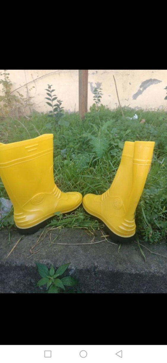 Erkek Sarı Diz Boyu Lastik Çizme - Görsel 2