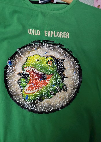 Erkek Çocuk Yeşil Baskılı Sweatshirt - Görsel 4