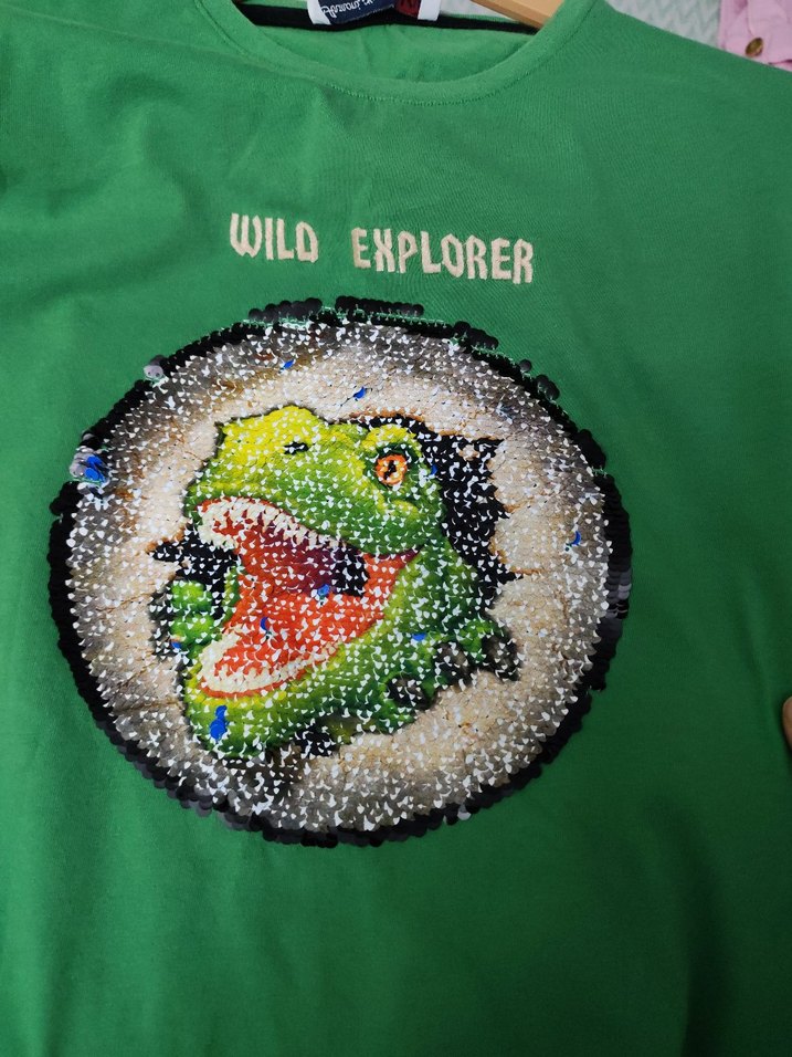 Erkek Çocuk Yeşil Baskılı Sweatshirt - Görsel 4