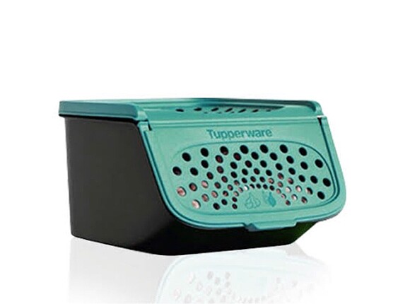 Tupperware Tupperware mini kiler sarımsaklık