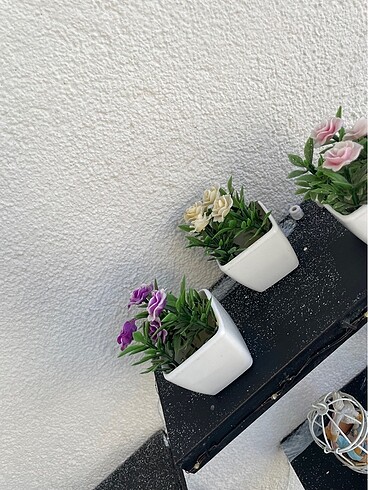 Biblo cicek - Görsel 2