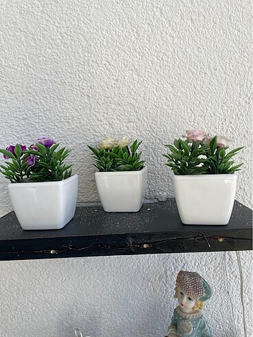 Biblo cicek - Görsel 3