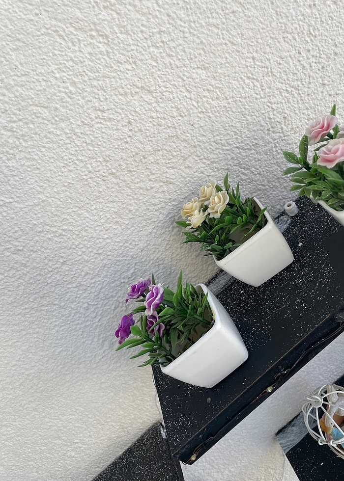 Biblo cicek - Görsel 2