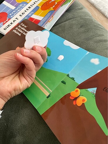 Cirtli kitap kukuli - Görsel 3