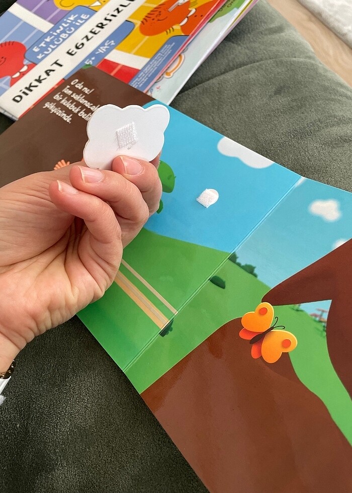 Cirtli kitap kukuli - Görsel 3