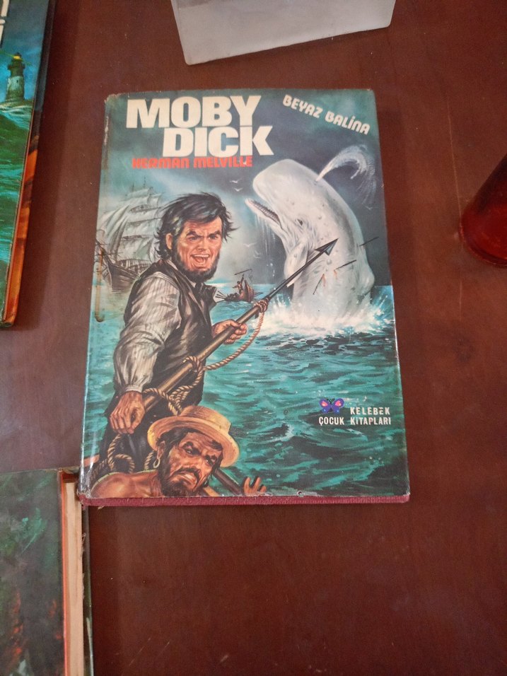 Deniz Altında 20 Bin Fersah - Jules Verne - Görsel 2