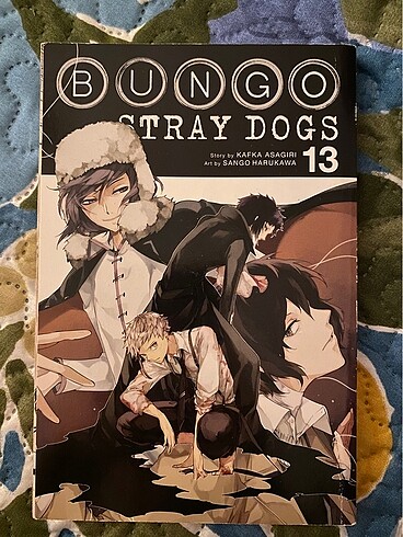 Bungou Stray Dogs Ingilizce 13