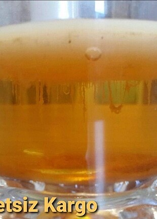 Kombucha Scoby