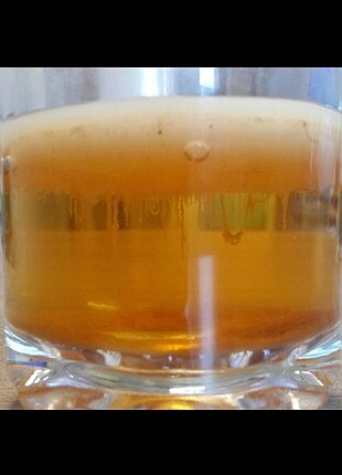 Kombucha Scoby