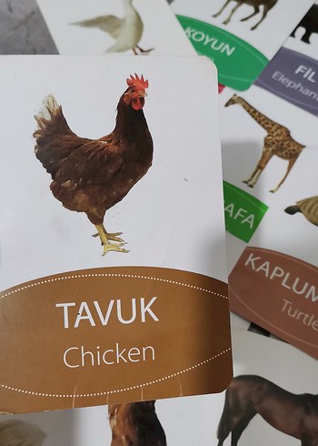 Çok Renkli Hayvan Kartları Eğitici Oyuncak - Görsel 3