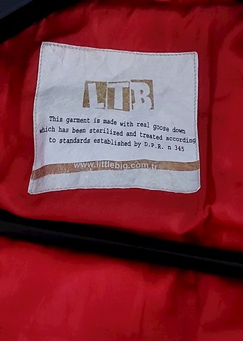 Kadın Kaban - Görsel 9