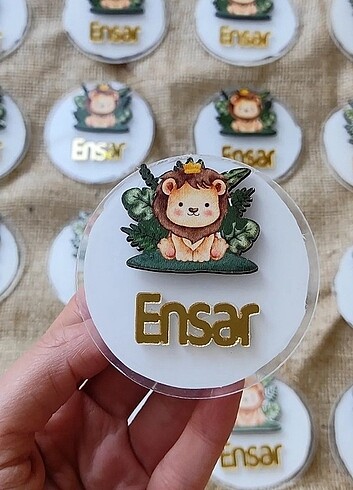 Pleksi magnet