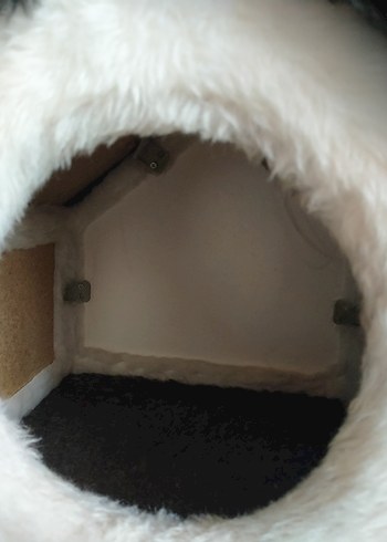 Kedi Evi Bursa elden teslim - Görsel 4