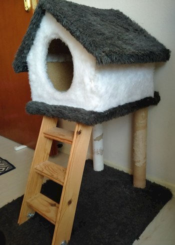 Kedi Evi Bursa elden teslim - Görsel 3