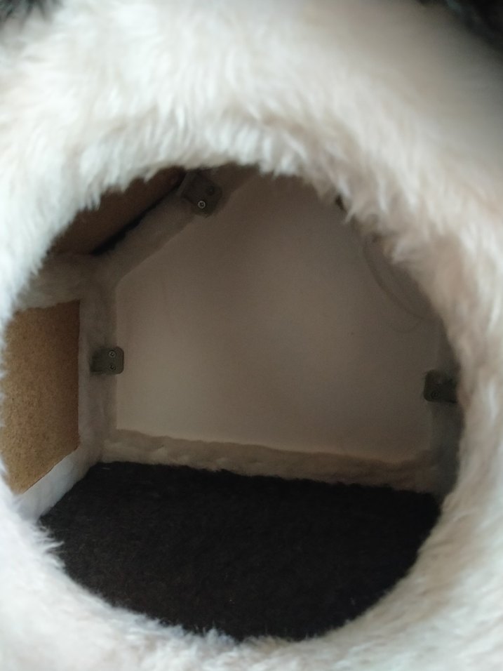 Kedi Evi Bursa elden teslim - Görsel 4