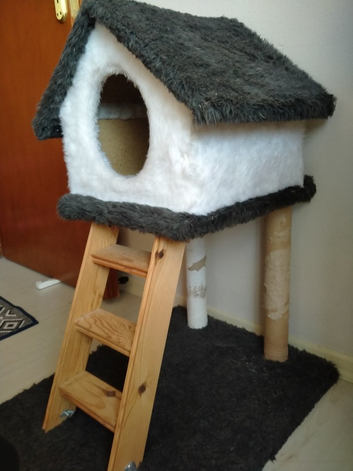 Kedi Evi Bursa elden teslim - Görsel 3