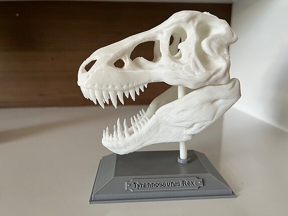 T-Rex Dinazor kafatası