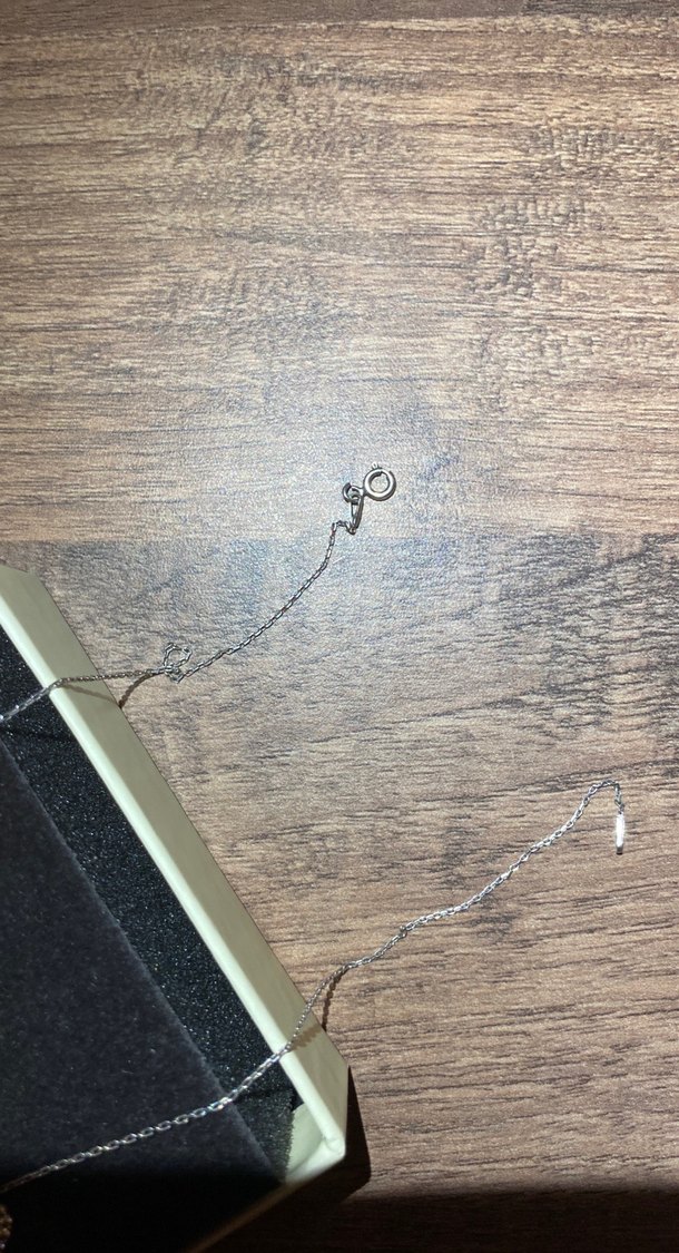 Altın Renk Mini Zincir Detaylı Kadın Kolye 925 gümüş - Görsel 3