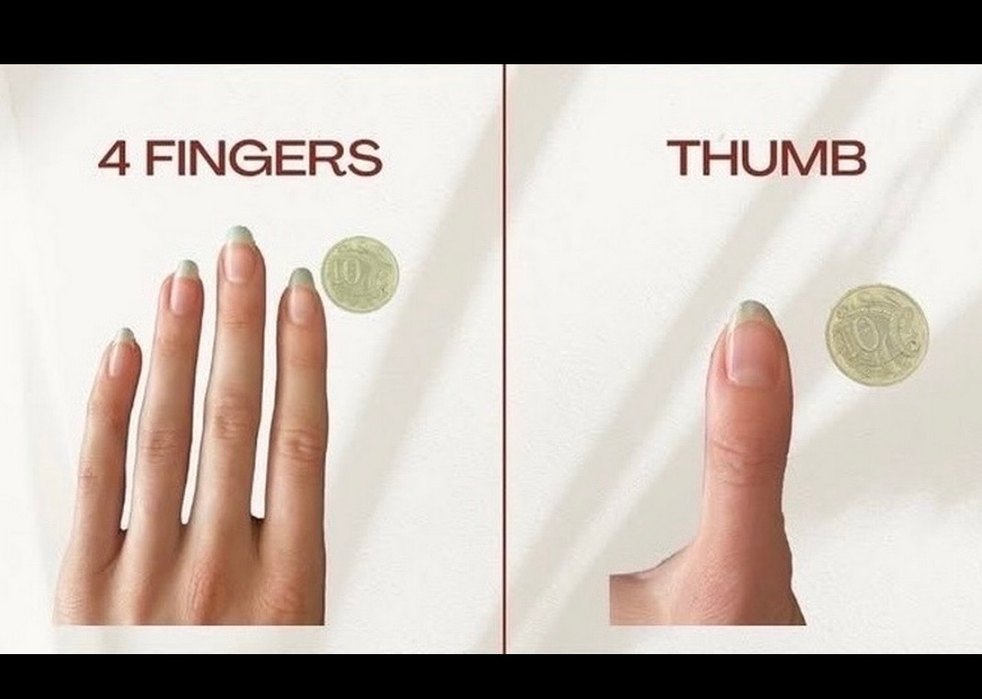 CAT EYE TAKMA TIRNAK - Görsel 4